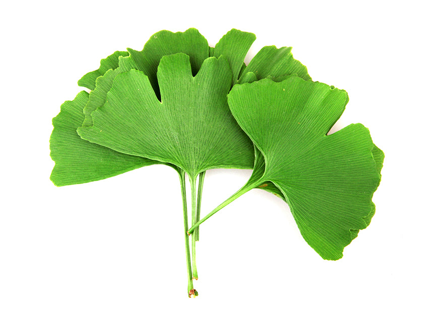 Żel do Ultradźwięków, Kawitacji i Fal Radiowych (RF) z Kofeiną | Antycellulitowy - UB Slim